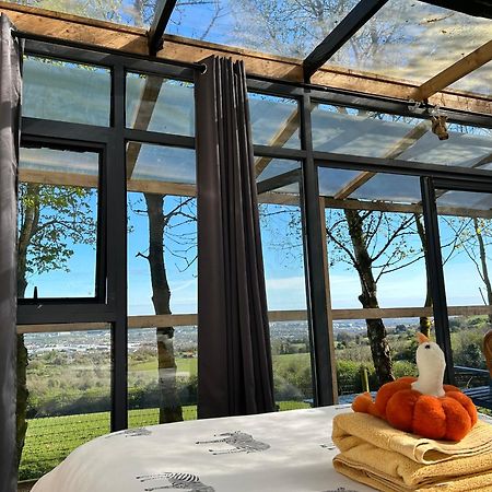 Sky Gazer Cabin In The Woods Dublin Exteriör bild