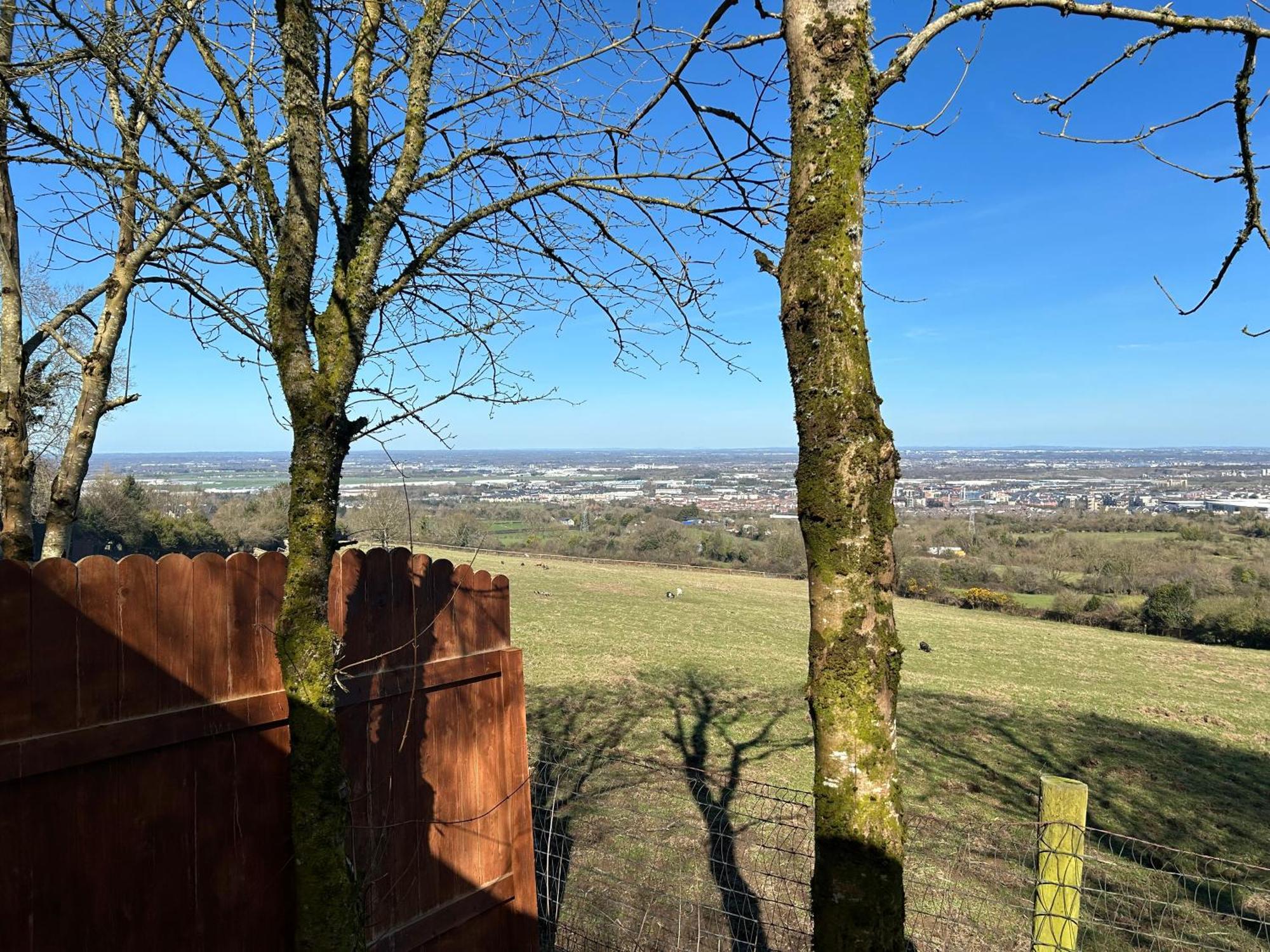 Sky Gazer Cabin In The Woods Dublin Exteriör bild